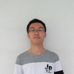 Team Member